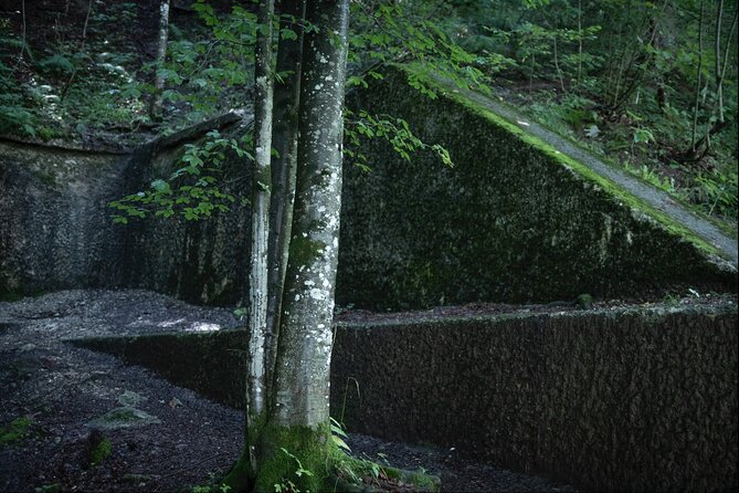 Berchtesgaden-Obersalzberg Private Half Day WWII Historical Tour - Your guide Tom Lewis: local perspective and an easier Q&A flow