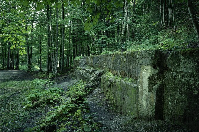 Berchtesgaden-Obersalzberg Private Half Day WWII Historical Tour - Price and timing: what $588.75 per group buys you