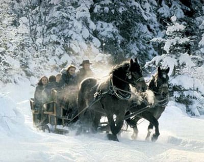 From Salzburg: 8-hour Horse-Drawn Tour w/ 2-hour Sleigh Ride - Salzburg to Ramsau in One Easy Coach Day