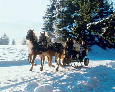 From Salzburg: 8-hour Horse-Drawn Tour w/ 2-hour Sleigh Ride - Why Ramsau (and the Dachstein Area) Works So Well in Winter