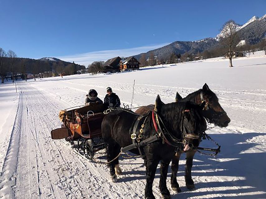 From Salzburg: 8-hour Horse-Drawn Tour w/ 2-hour Sleigh Ride - Price and Value: Is $114 Worth It?