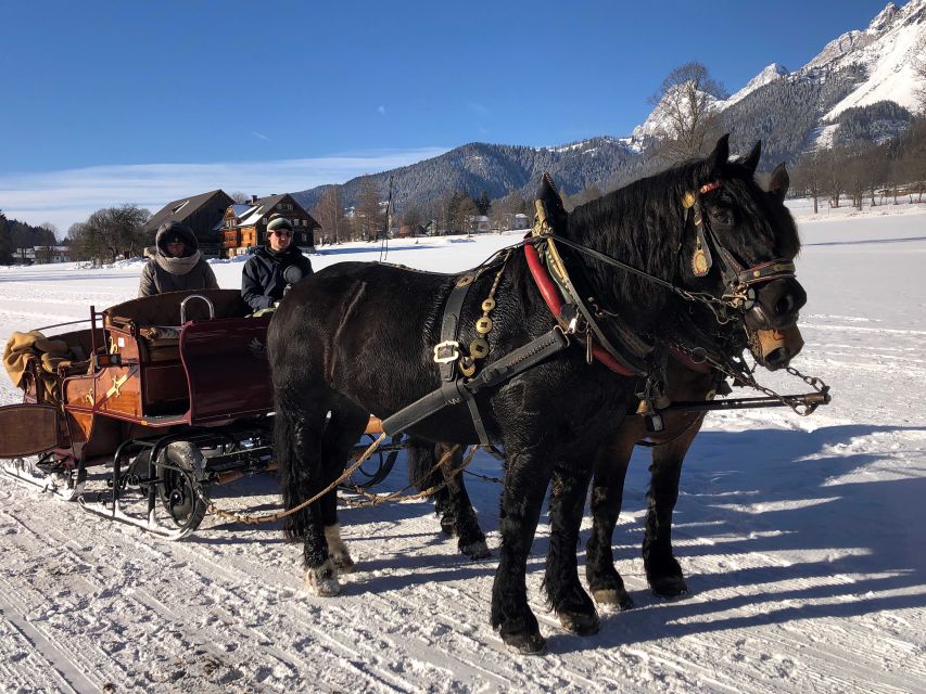 From Salzburg: 8-hour Horse-Drawn Tour w/ 2-hour Sleigh Ride - The 2-Hour Sleigh Ride: What It Really Feels Like