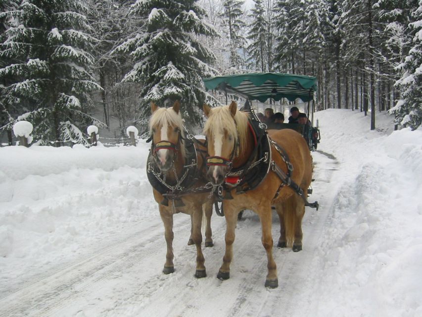 From Salzburg Romantic Carriage Ride through the Countryside - Seasonal Christmas markets: nice when timing lines up