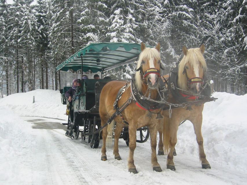 From Salzburg Romantic Carriage Ride through the Countryside - The guide makes it feel local: Alenka, Werner, Josef, Wolfgang, Lisa