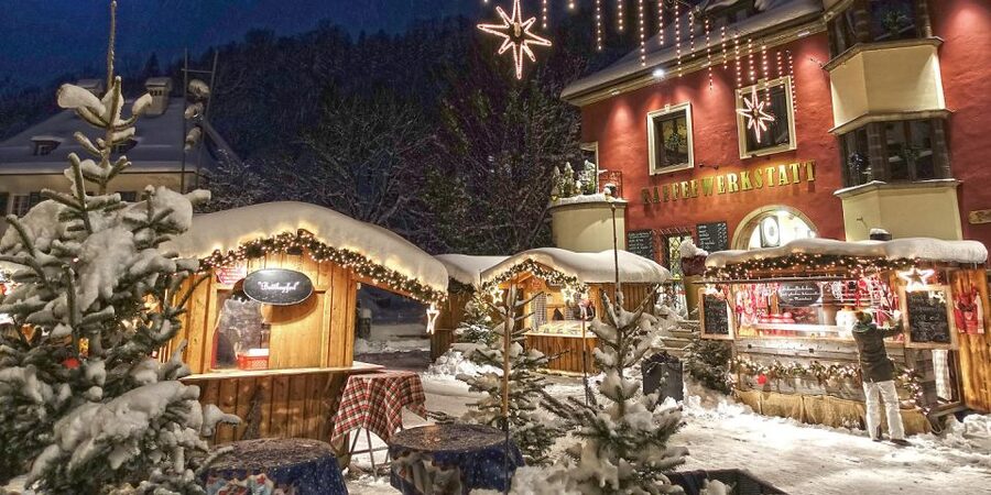 From Salzburg Romantic Carriage Ride through the Countryside - Cost and value: $883 per group up to 8, and what you really get