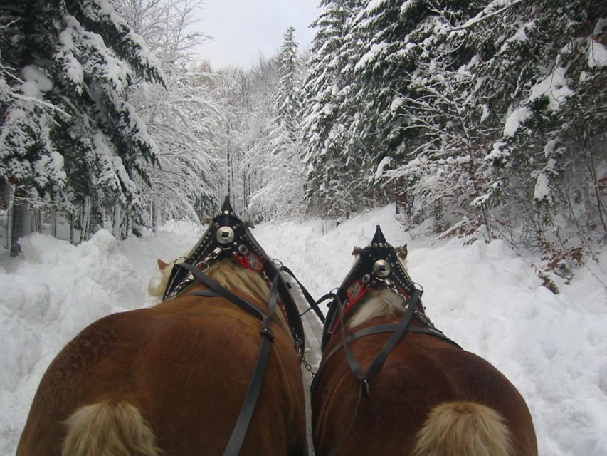 From Salzburg Romantic Carriage Ride through the Countryside - What to pack and who this tour suits best