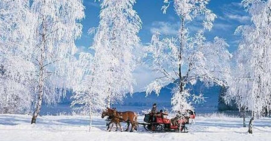 From Salzburg Romantic Carriage Ride through the Countryside - Sleigh ride rules in real winter: when runners give way to wheels