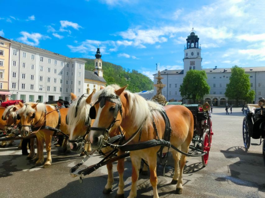 From Vienna: Salzburg Small-Group Day Trip - Should you book the Vienna to Salzburg small-group day trip?