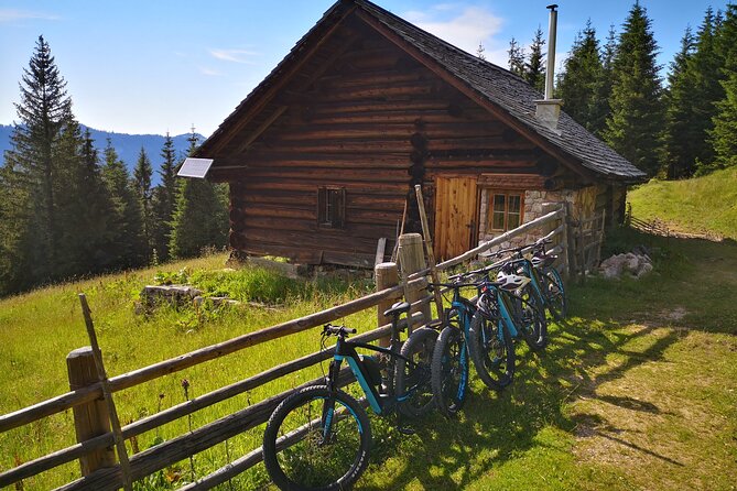Guided e-bike tour of the alpine pastures in the Salzkammergut - E-bikes on alpine pastures: what this day really delivers