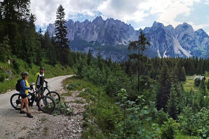 Guided e-bike tour of the alpine pastures in the Salzkammergut - Hallstatt-Dachstein to Hallstatt: culture time without turning the day into a museum marathon