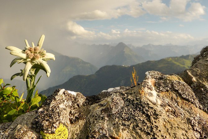 Private Eagle's Nest & The Hills are Alive - Driving south: salt history, Leopoldskroner lake views, and the palace backdrops