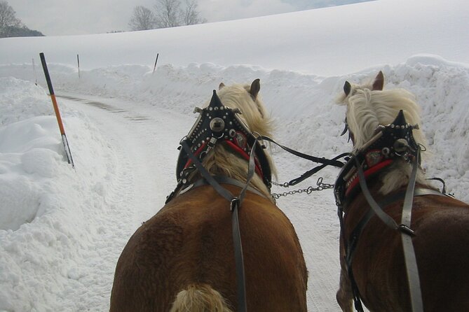 Private Horse-Drawn Sleigh Ride from Salzburg - Getting From Salzburg to the Winter Countryside Without Hassle