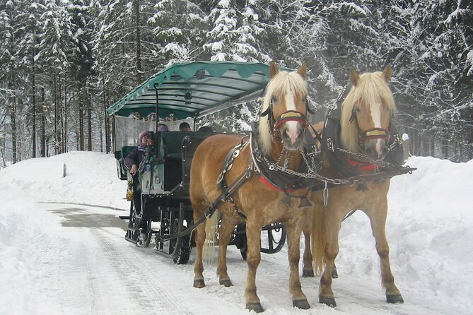 Private Horse-Drawn Sleigh Ride from Salzburg - The People Make It: Drivers, Guides, and the Personal Touch