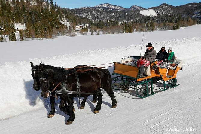 Private Horse-Drawn Sleigh Ride from Salzburg - The Faistenau Horse-Drawn Ride: Why the Timing Feels Just Right