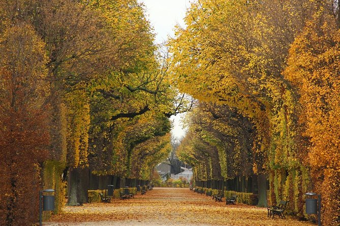 Private transfer from Salzburg to Vienna, 2 hours for sightseeing - Timing tips so your Vienna plans don’t slip