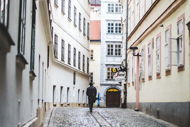 Private transfer from Salzburg to Vienna with 4h of Sightseeing - Should You Book This Salzburg to Vienna Transfer?