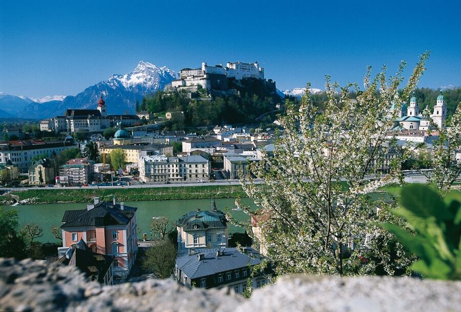 Salzburg: Sound of Music Private Half-Day Tour - Key things that make this tour worth your time