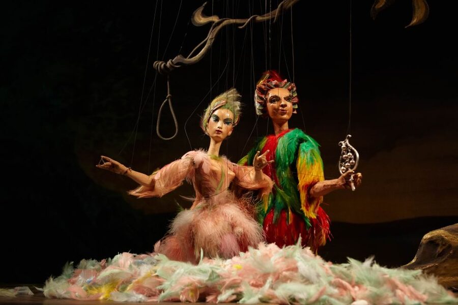 Salzburg: The Magic Flute at Marionette Theater Ticket - Inside a 350-seat Baroque-style auditorium: your viewing experience