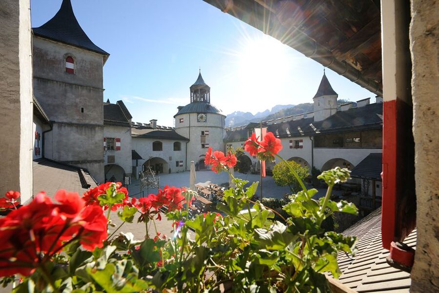 Werfen: Hohenwerfen Castle Entrance Ticket - Falconry Museum + The Free-Flight Birds of Prey Show